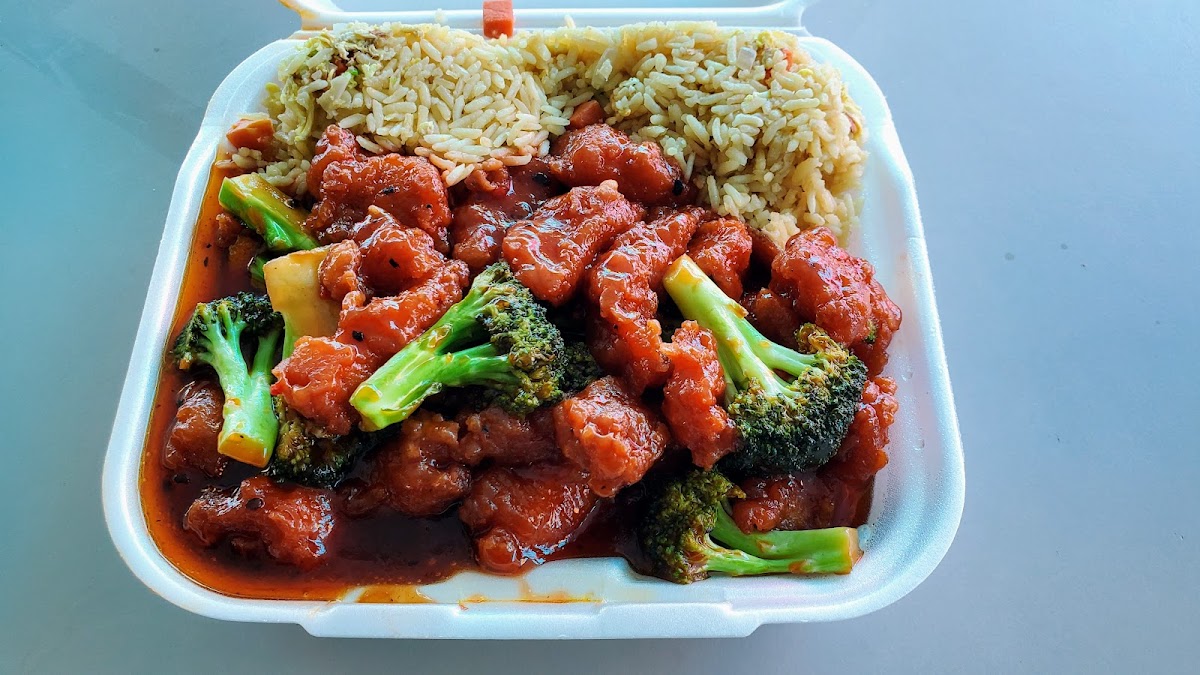 Szechuan Garden - Williamston - Photo 1