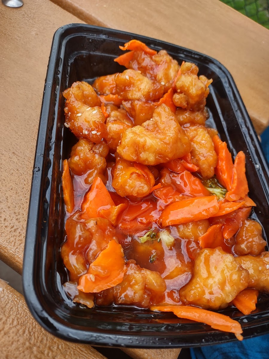Szechuan Garden - Williamston - Photo 8