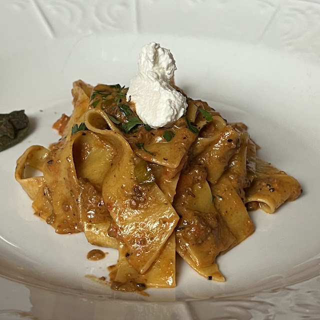 Hand Made Stracci Pasta with Sausage and Porcini Mushrooms in a Light