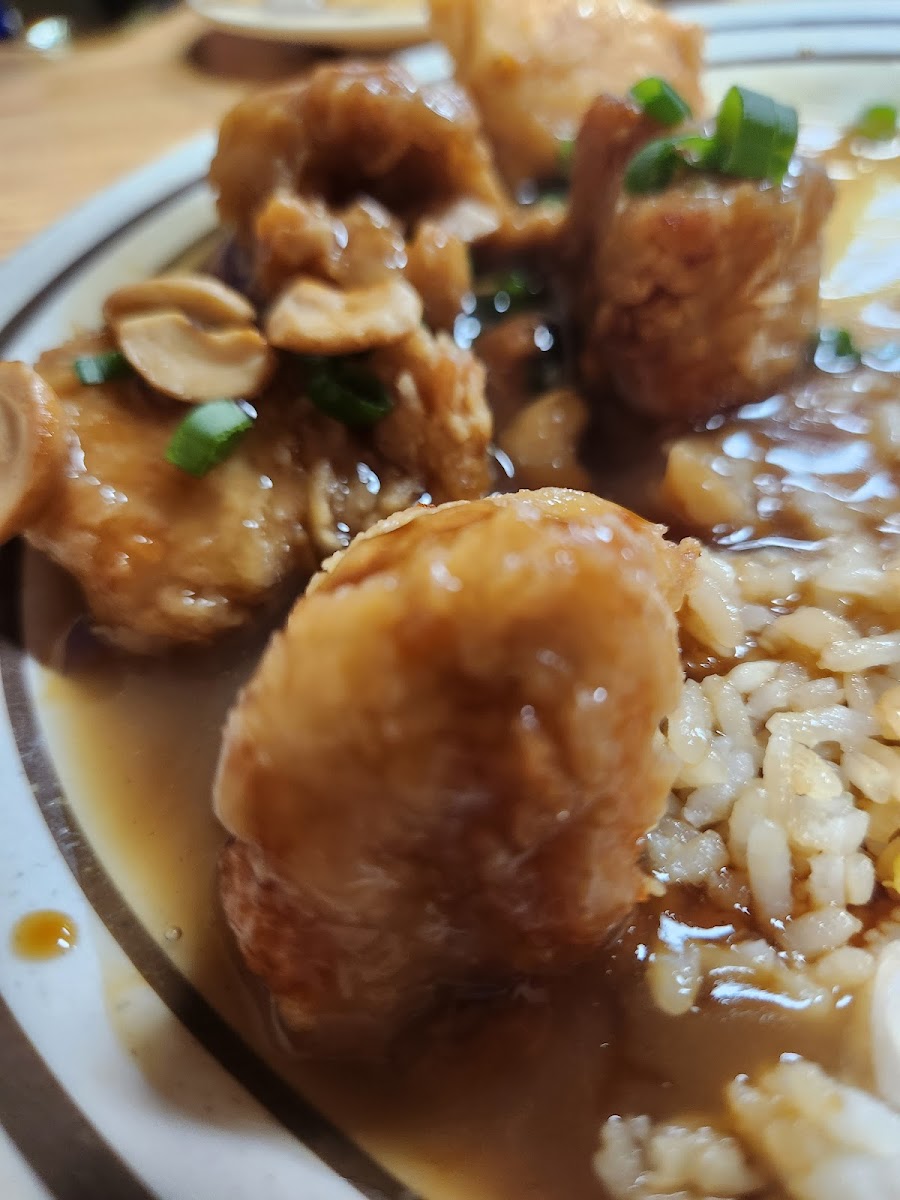 Spring Garden - Houston - Photo 3