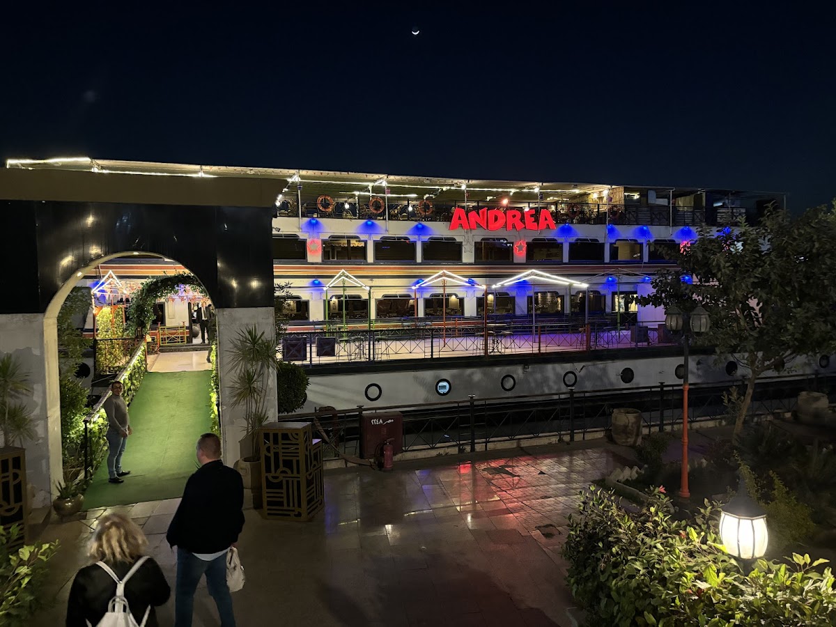 Andrea Maadi - Photo 4