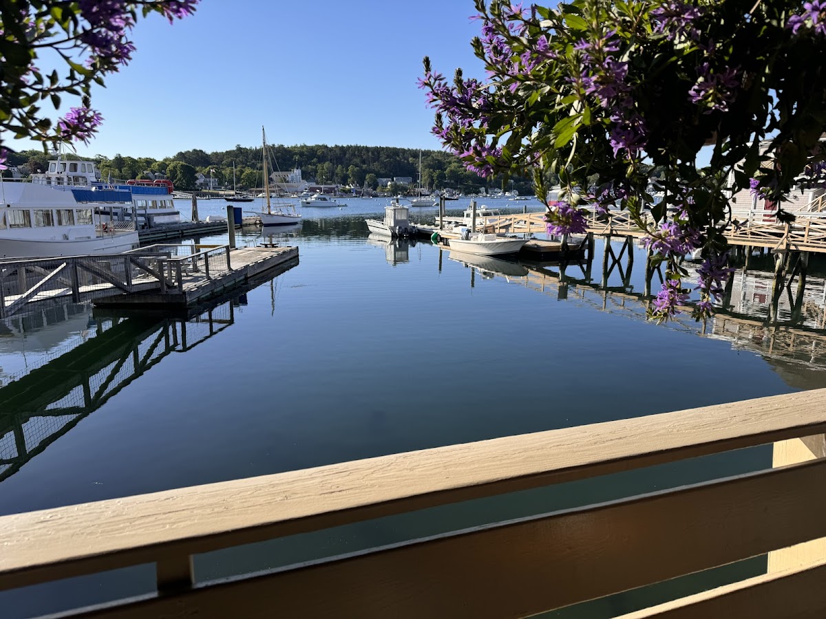 Blue Moon Café - Boothbay Harbor - Photo 3