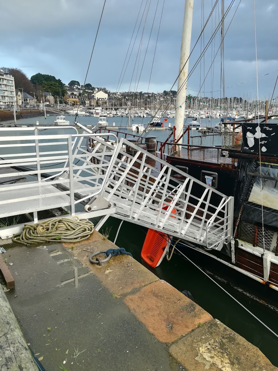 Le Café Du Port - Photo 7