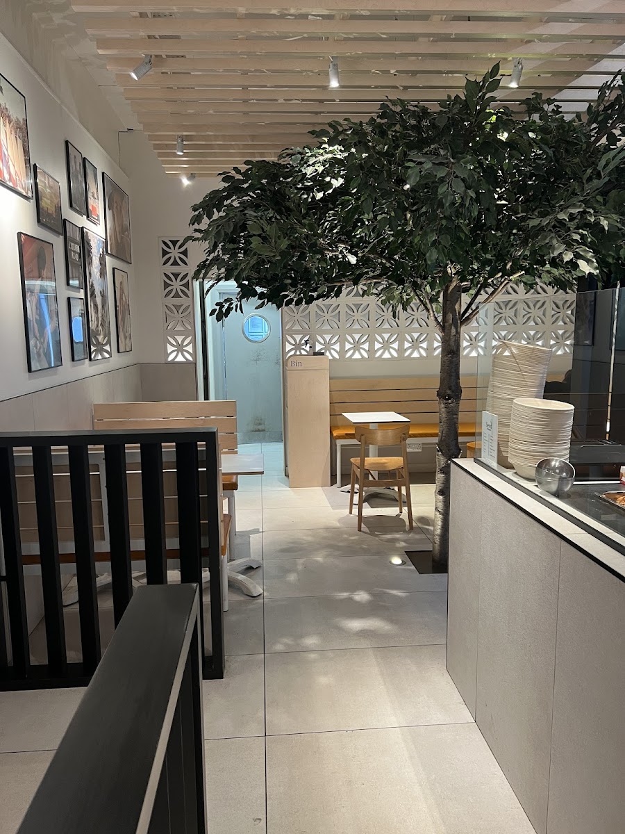 Seed - 613 Lisburn Rd - Photo 2