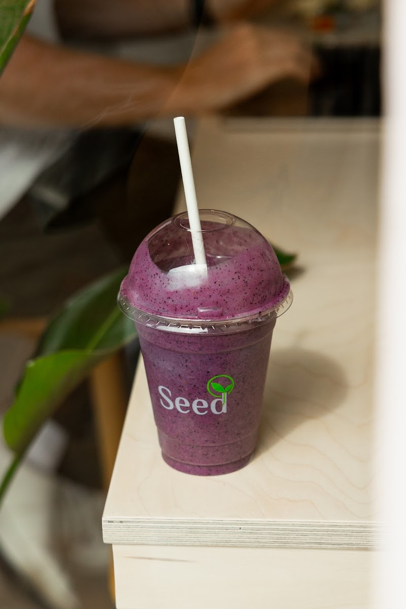 Seed - 613 Lisburn Rd - Photo 5