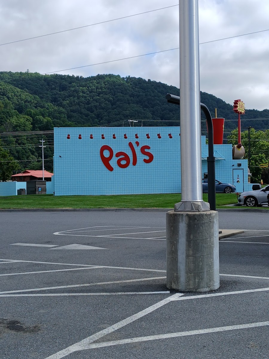 Pal's Sudden Service - Erwin - Photo 3