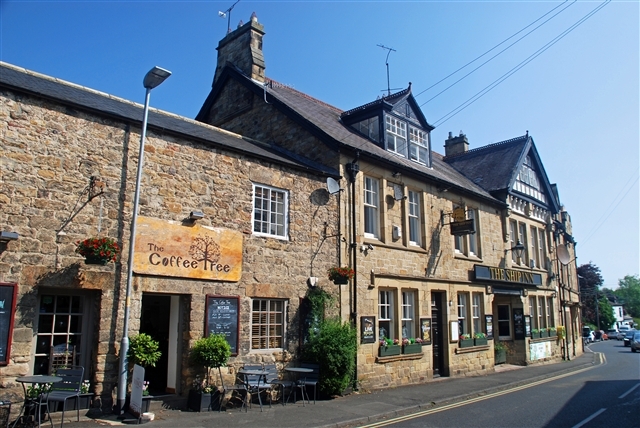 The Coffee Tree - Main Rd - Photo 2