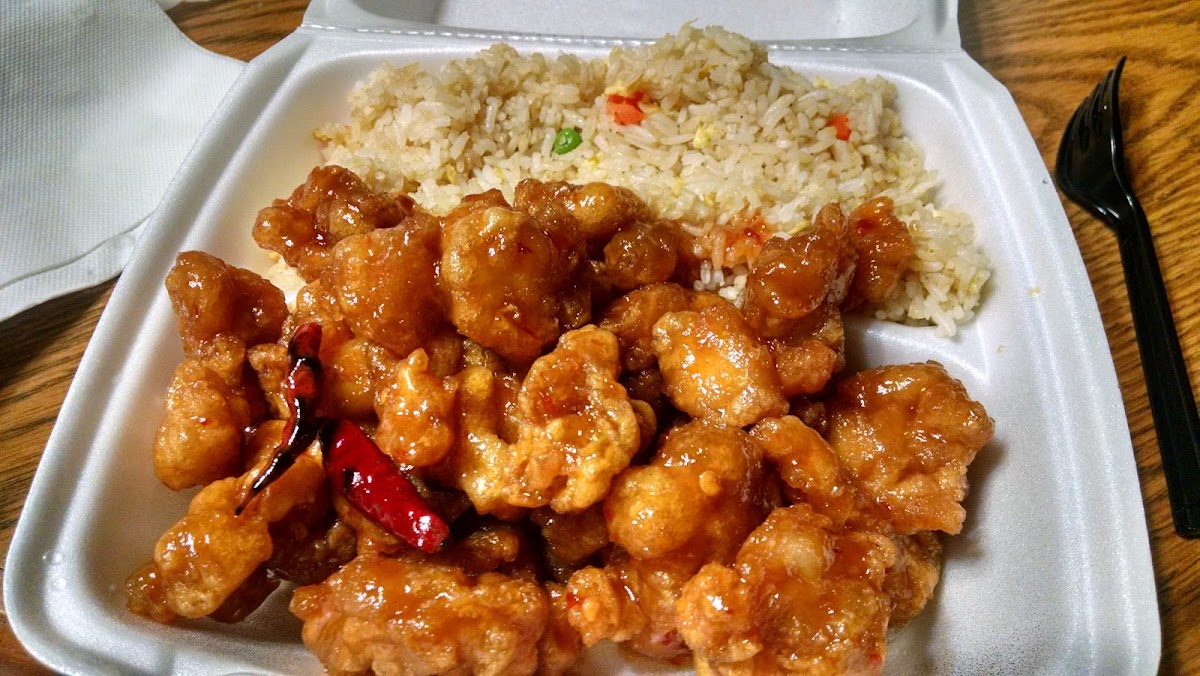 Dragon Express - Garden City - Photo 4