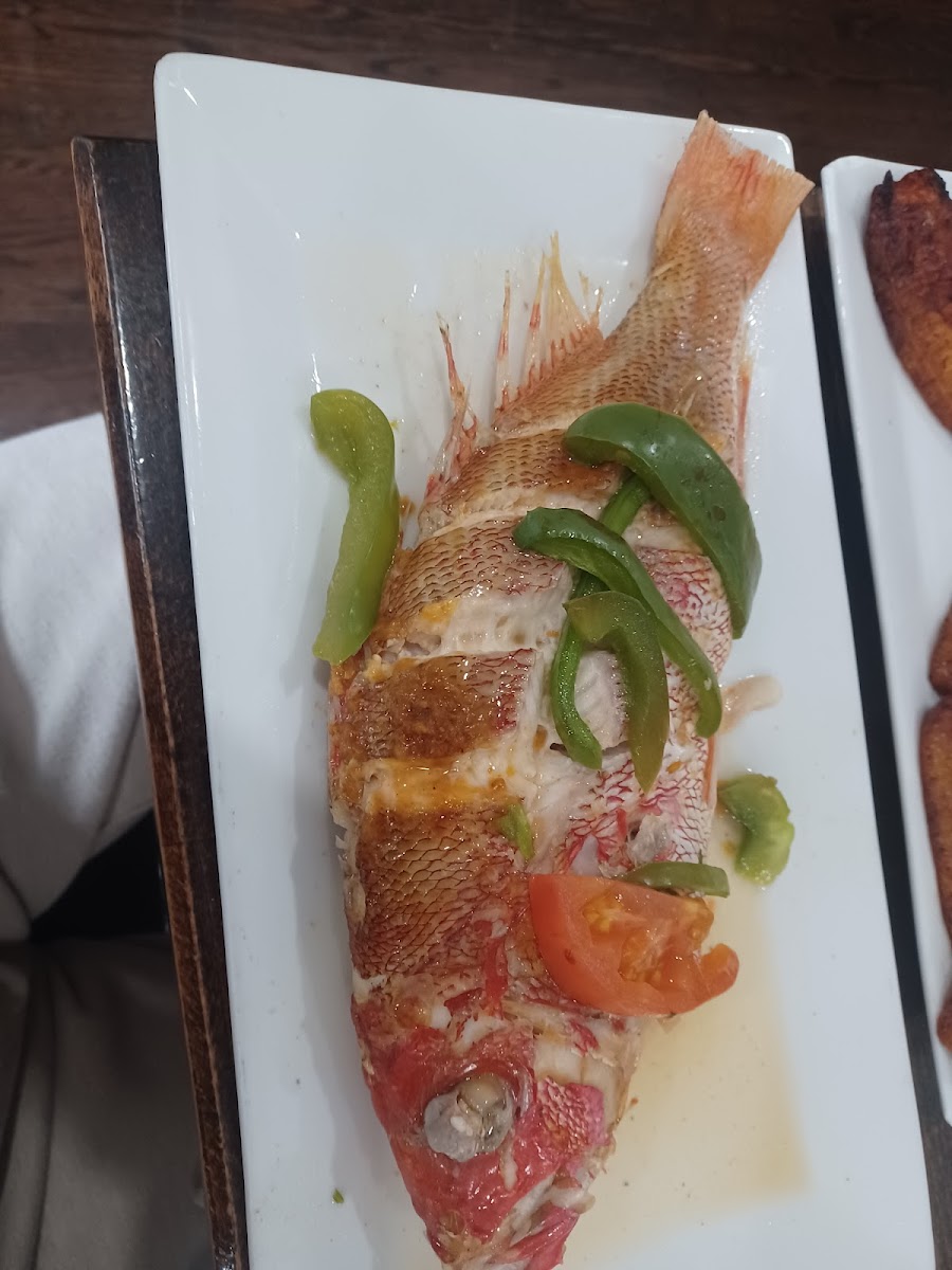 La Herradura - Peekskill - Photo 8