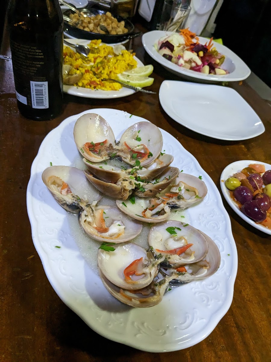 Cocodrilo - Photo 2