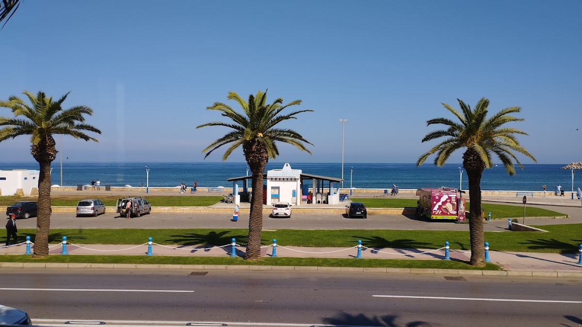 Cocodrilo - Photo 7