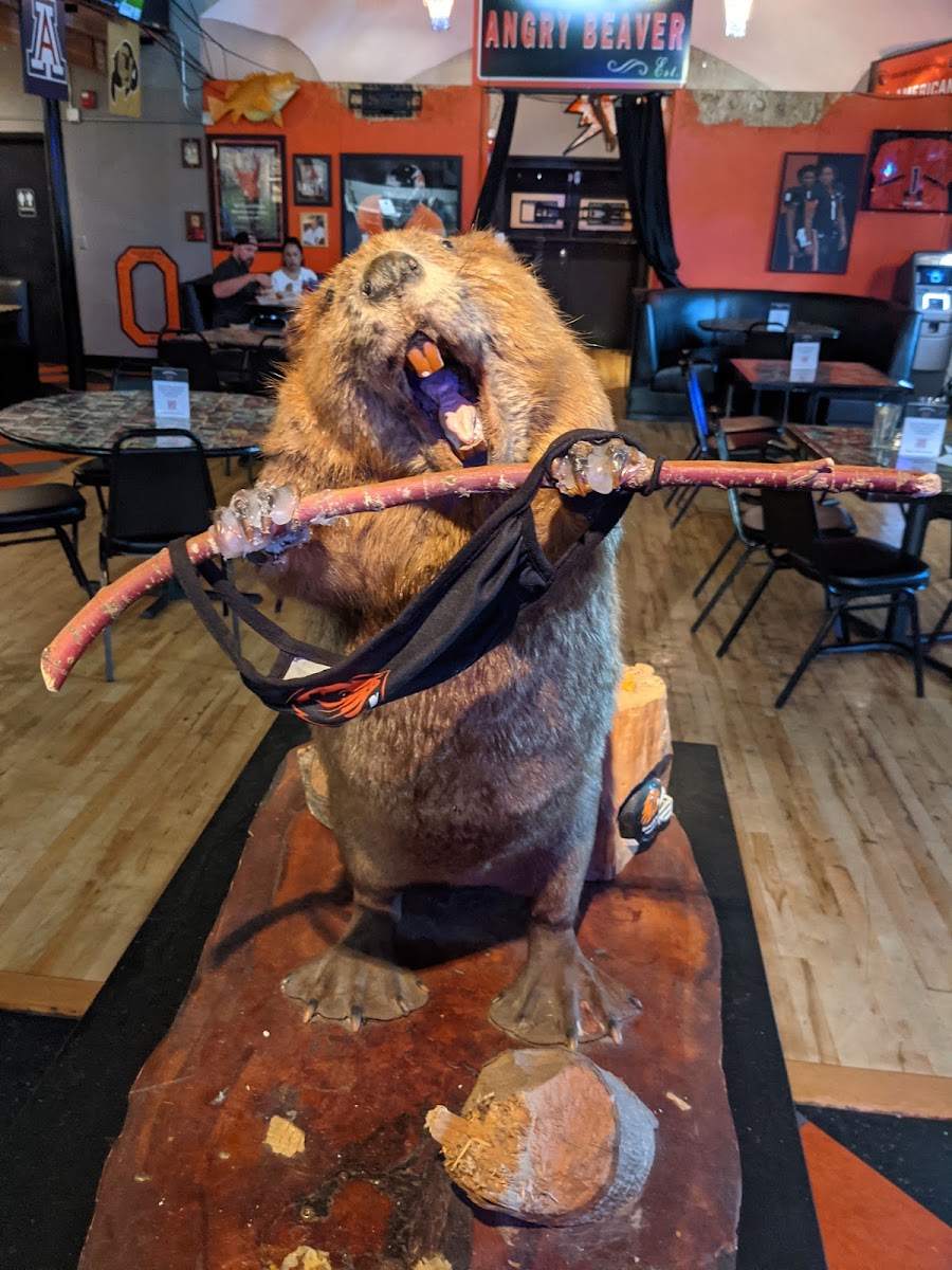The Angry Beaver Bar & Grill - Photo 4
