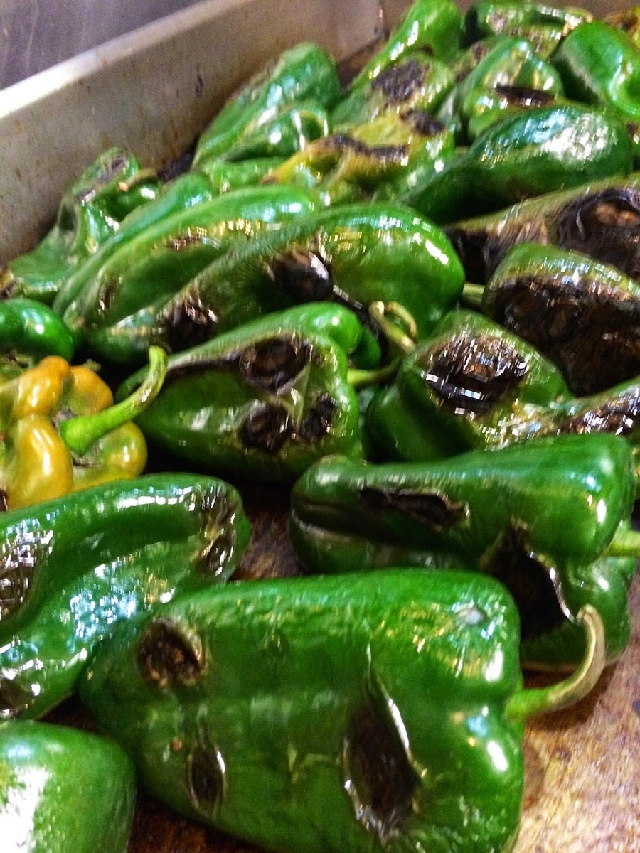 Salsa Brava Mexican Grill - Photo 2
