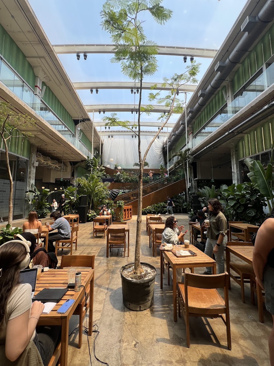 Eden Plant Co.
