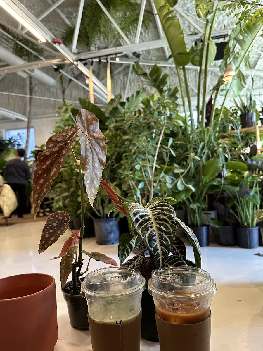 Eden Plant Co. - Photo 7