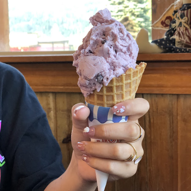 Huckleberry Waffle Cone