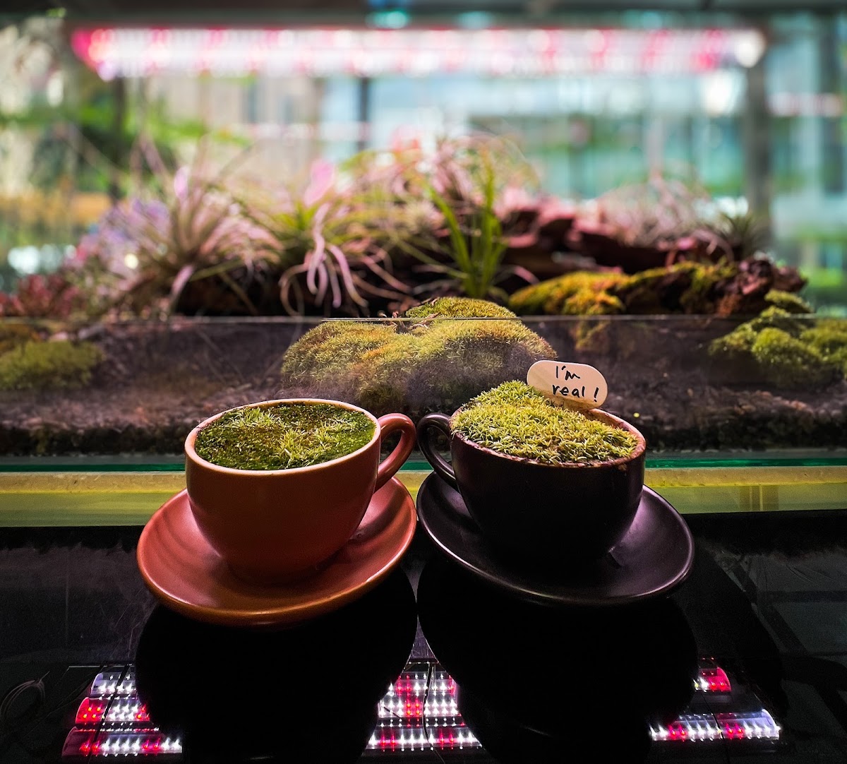 Gardenman KL - Photo 2