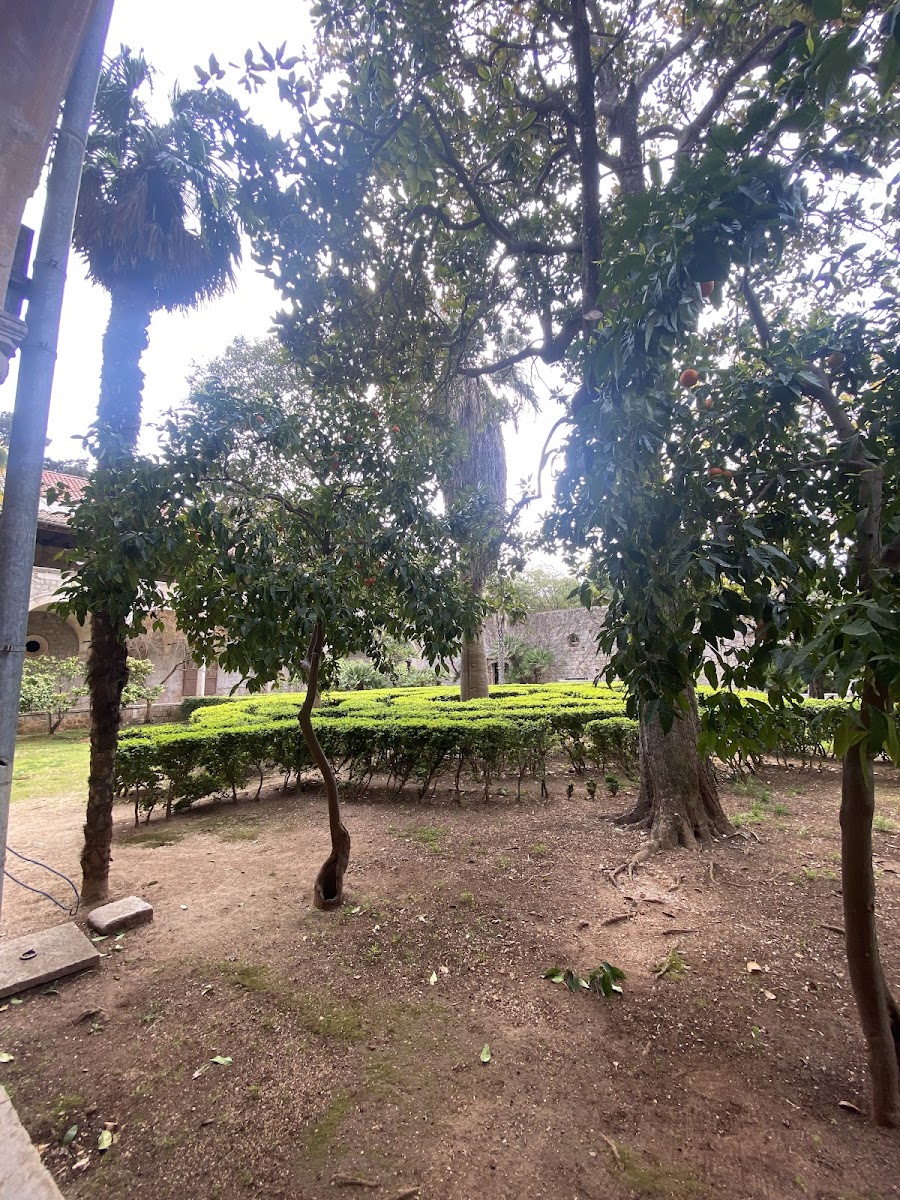 Rajski Vrt - Eden Garden Restaurant - Photo 4