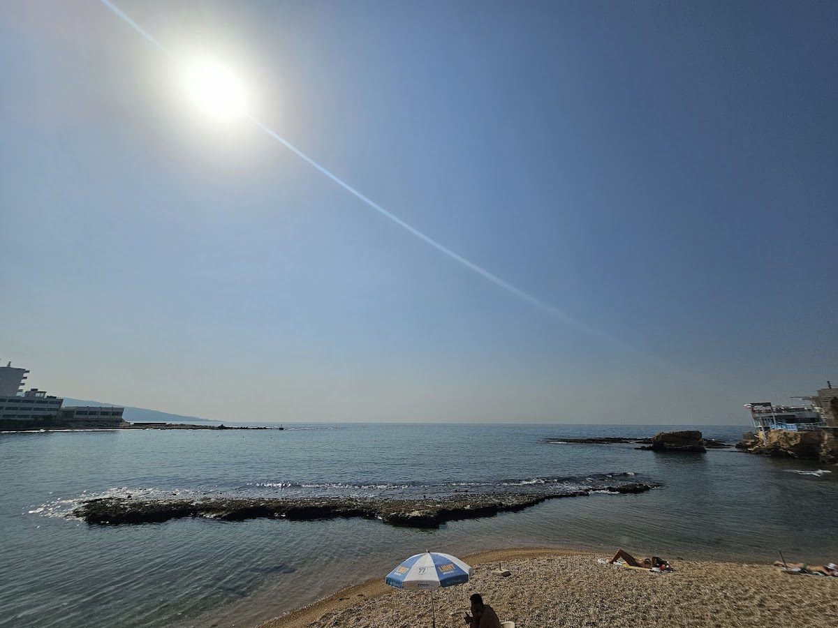 Ray Sur Mer - Restaurant - Photo 9