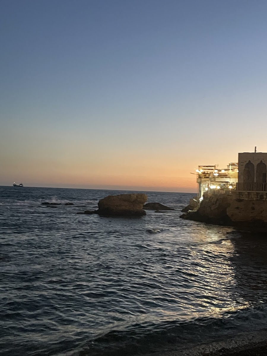 Ray Sur Mer - Restaurant - Photo 2