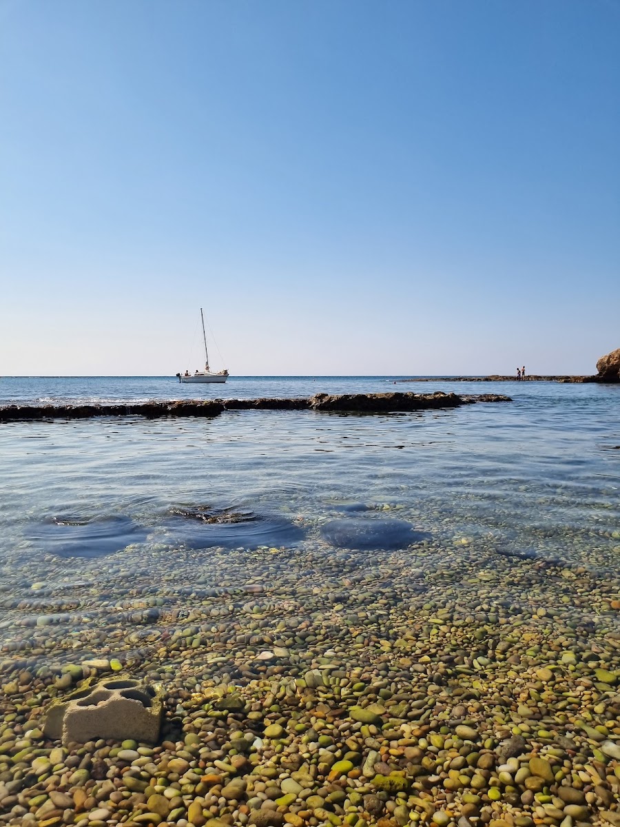 Ray Sur Mer - Restaurant - Photo 7