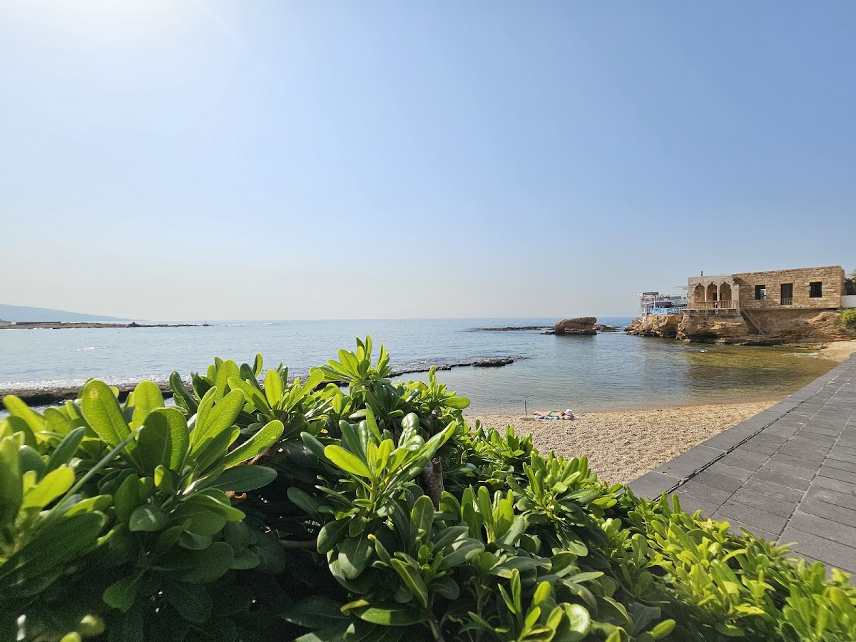 Ray Sur Mer - Restaurant - Photo 8