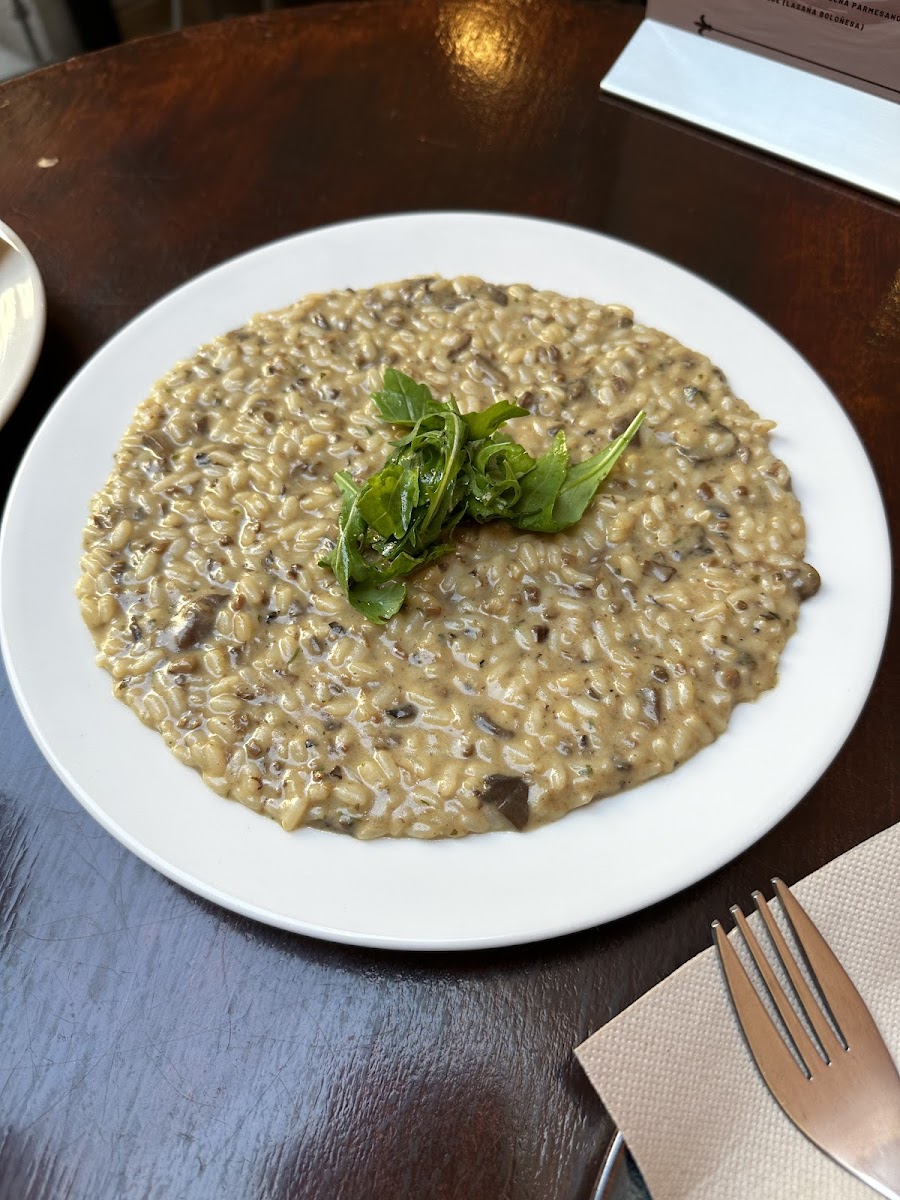 Bricco Gourmet Madrid - Photo 9