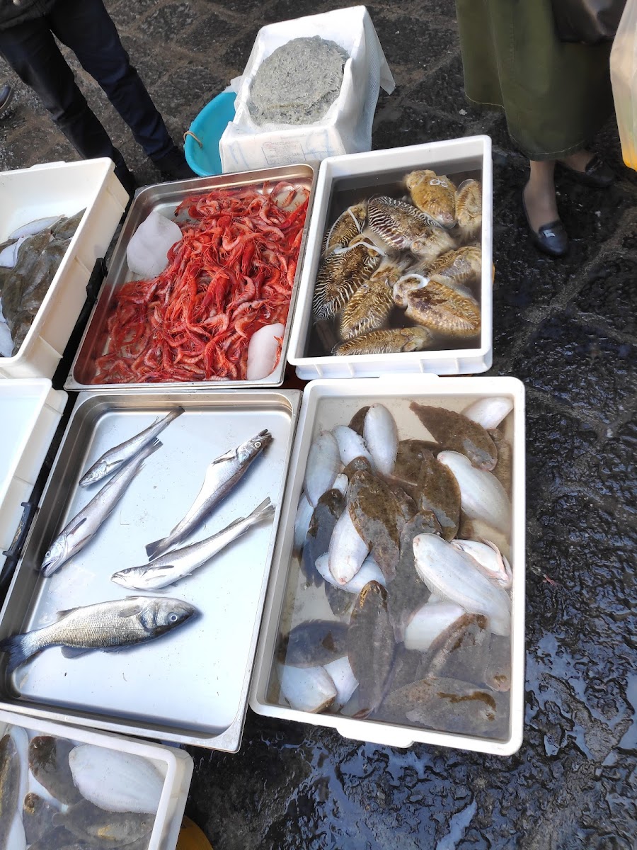 Scirocco Sicilian Fish Lab - Photo 6