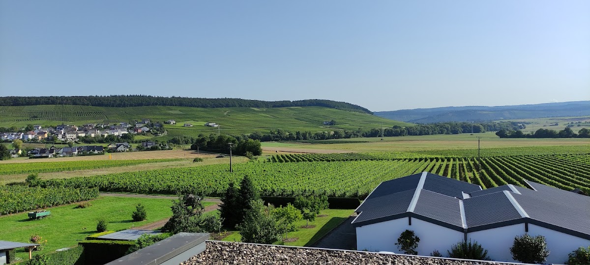Gaststatte Zur Traube - Photo 2