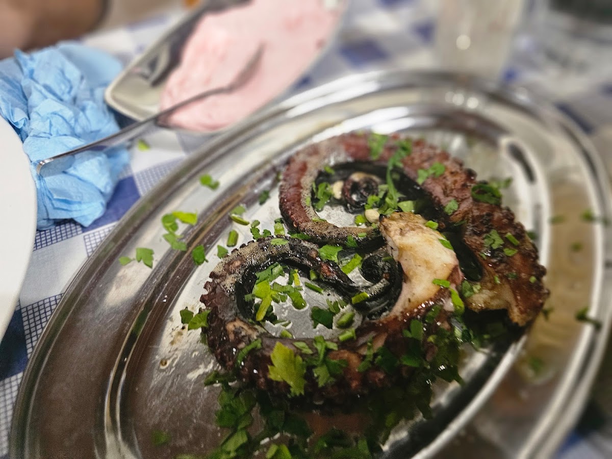 To Archipelagos - Fish Tavern - Photo 9