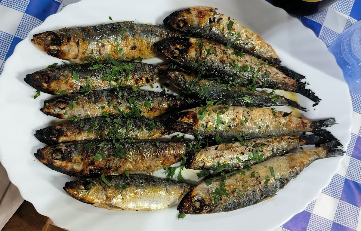 To Archipelagos - Fish Tavern - Photo 5