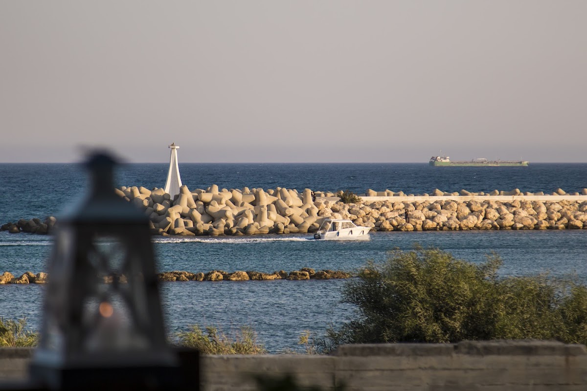 To Archipelagos - Fish Tavern - Photo 7
