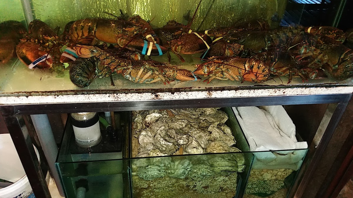 Garden Seafood Cuisine Sdn Bhd - Photo 8