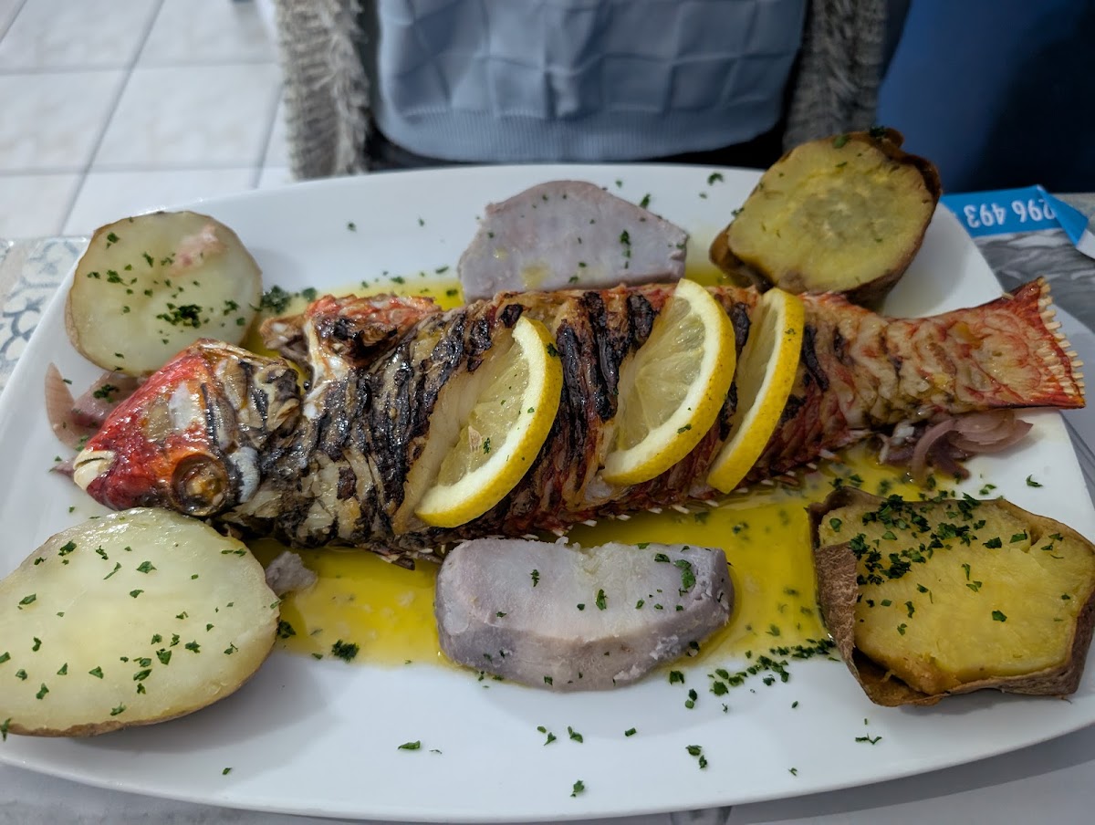 O Pescador - Photo 2