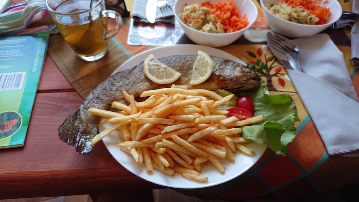 Bar Przystań na Pstrąga - Photo 9