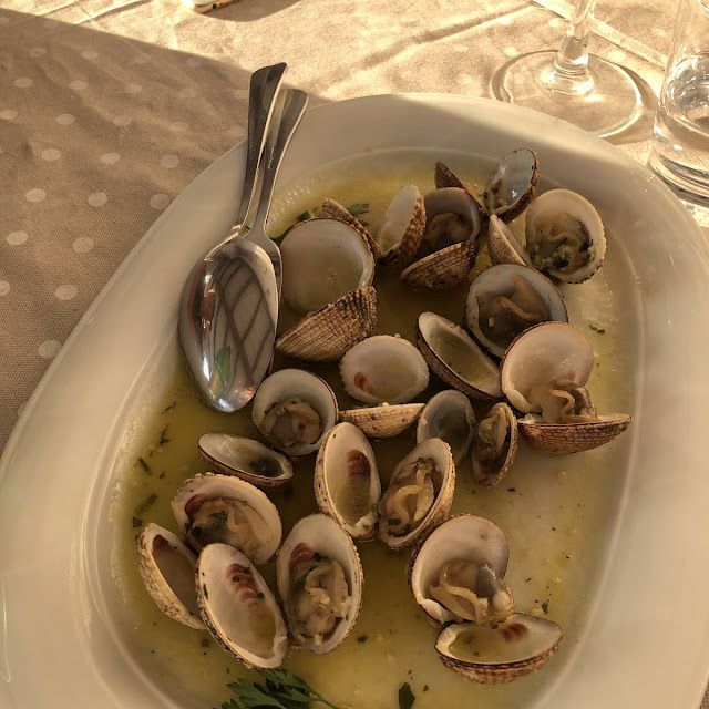 Local Muzzles as Starter