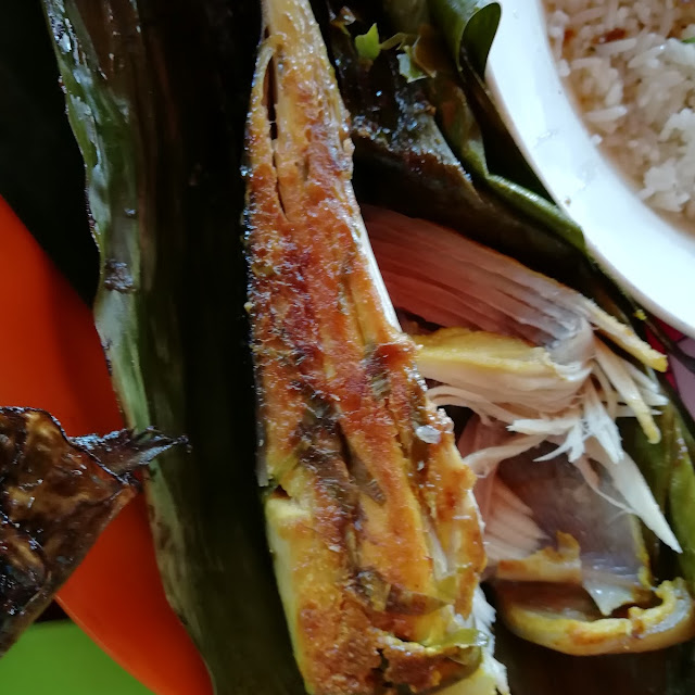 Pari Bakar