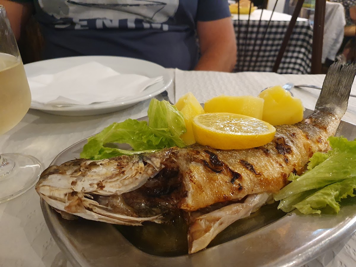 Restaurante Primor - Photo 9