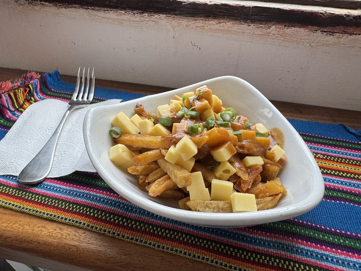 Le Québécois Antigua - Photo 2