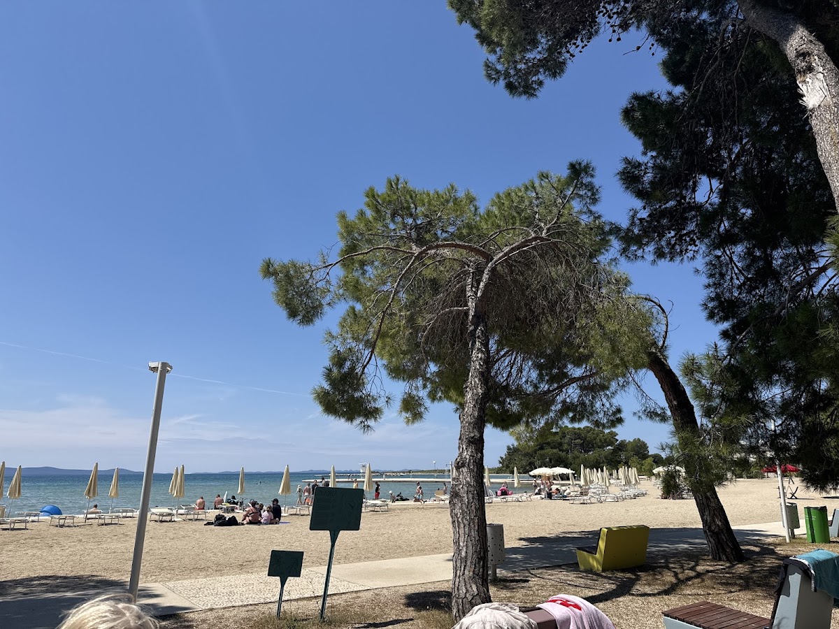 Pine Burgers & Bites - Photo 2