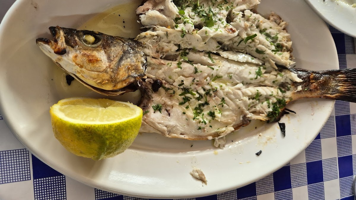 Hercules Fish Tavern - Photo 3