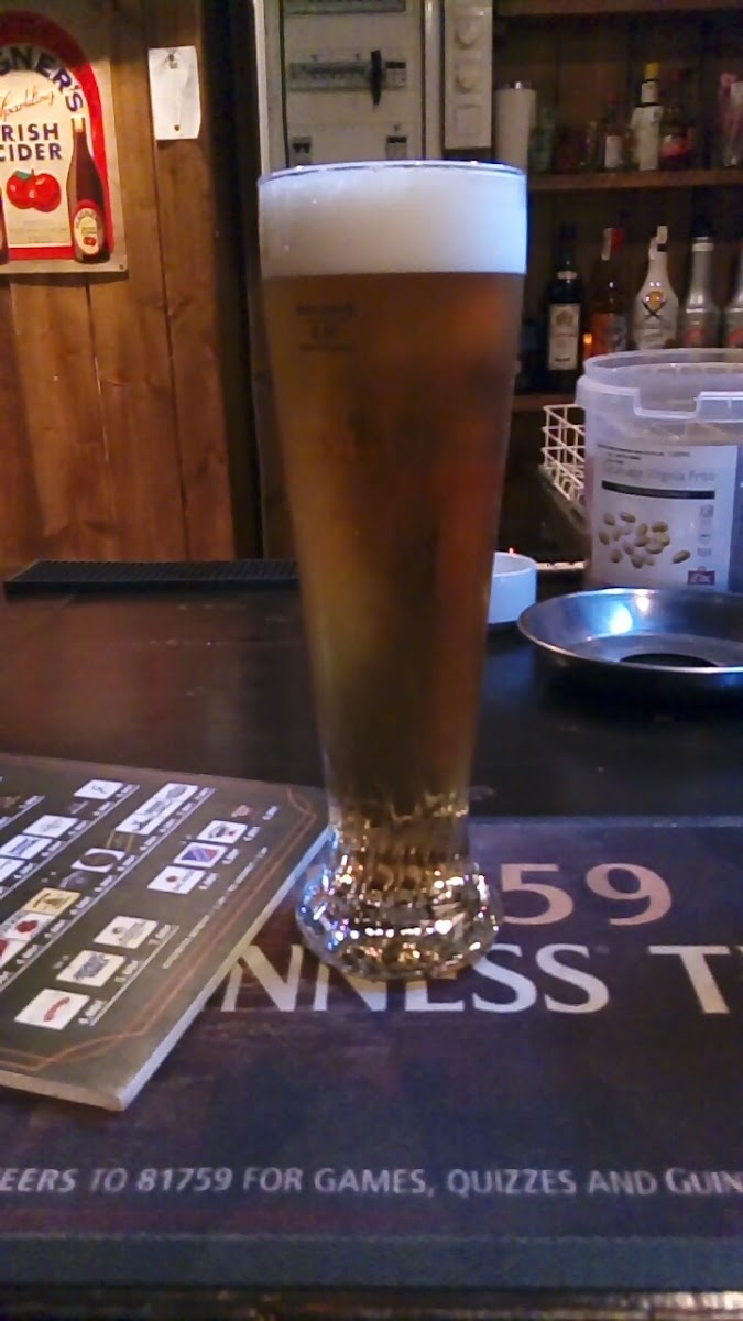 The Shamrock Irish Tavern - Photo 9