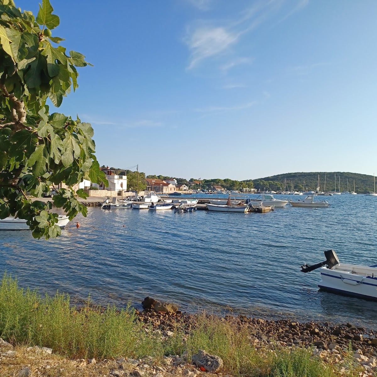 Konoba Dido Šime - Photo 8