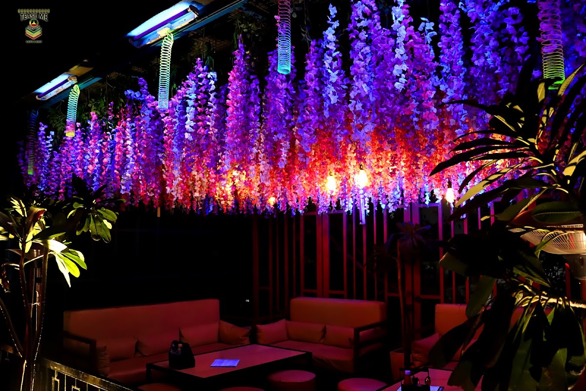 Tea’se Me - Rooftop Cafe & Bar - Photo 6