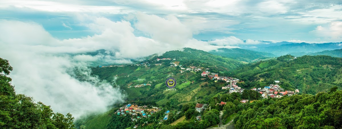 Doi Mae Salong Coffee - Photo 3