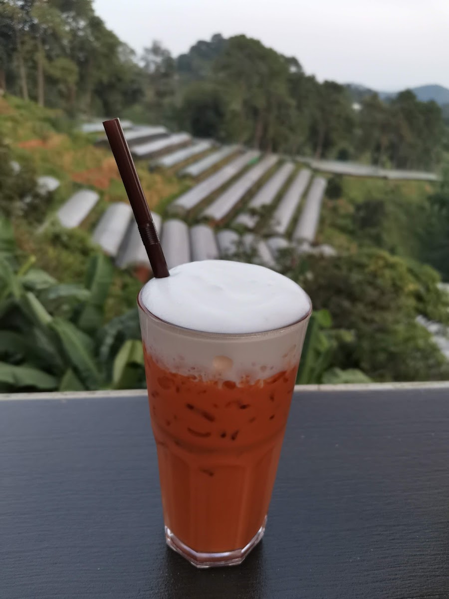 Doi Mae Salong Coffee - Photo 7