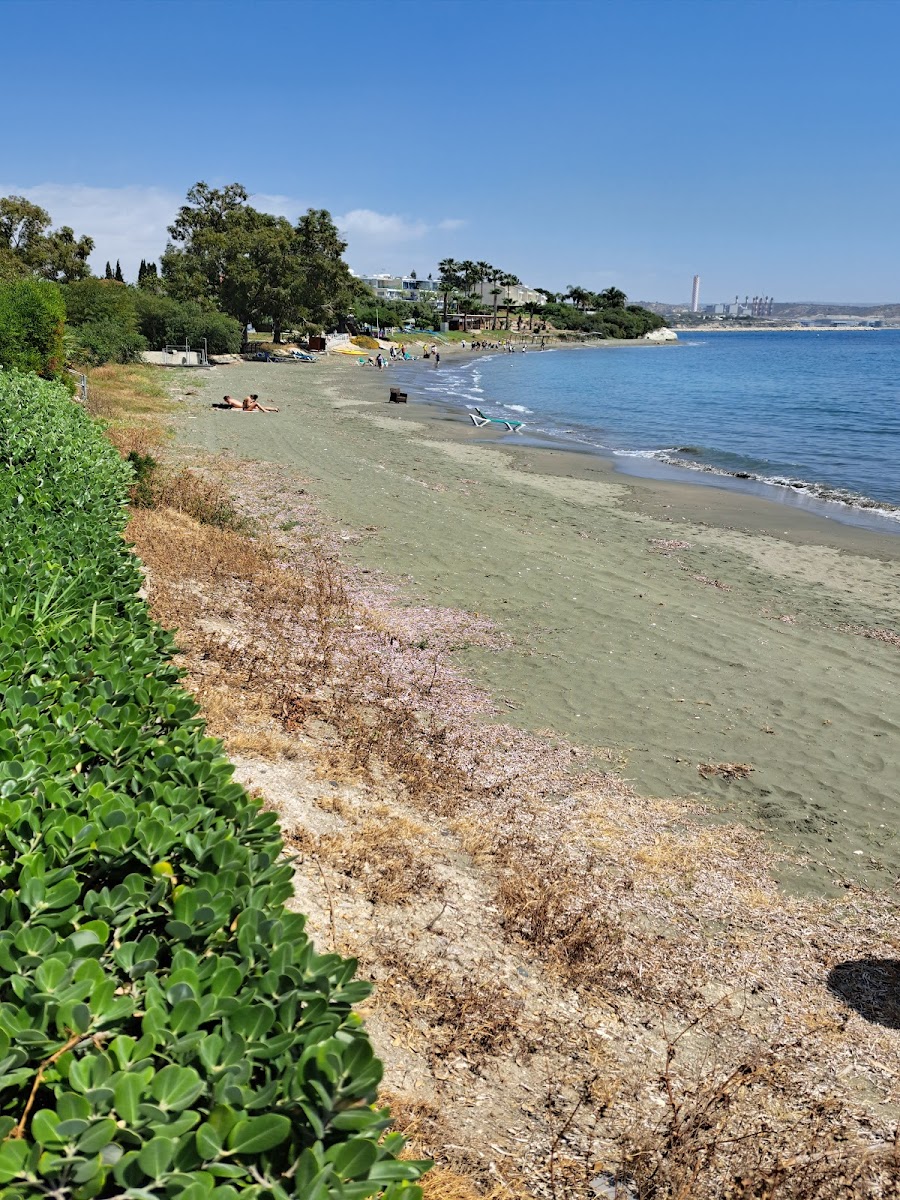 Sofroniou Beach Restaurant (Akti Sofroniou) - Photo 7