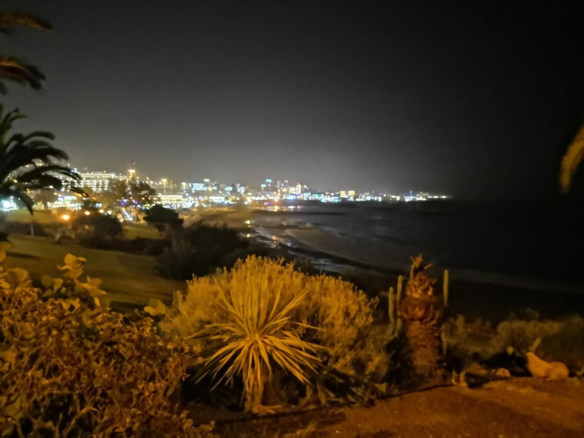 Sea Soul Costa Adeje - Photo 6