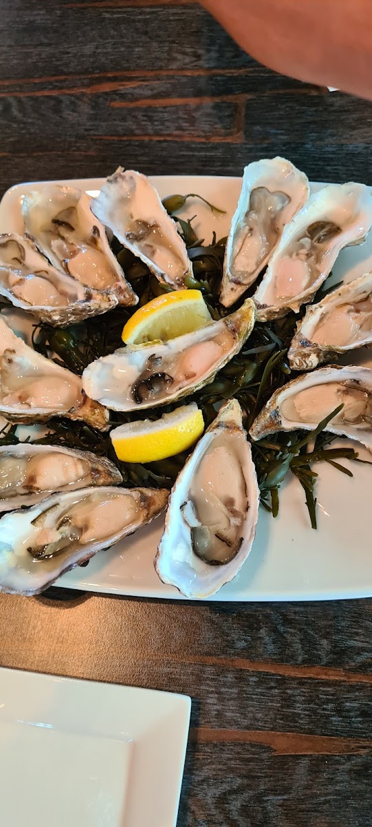 Oesters & Bubbels - Photo 9