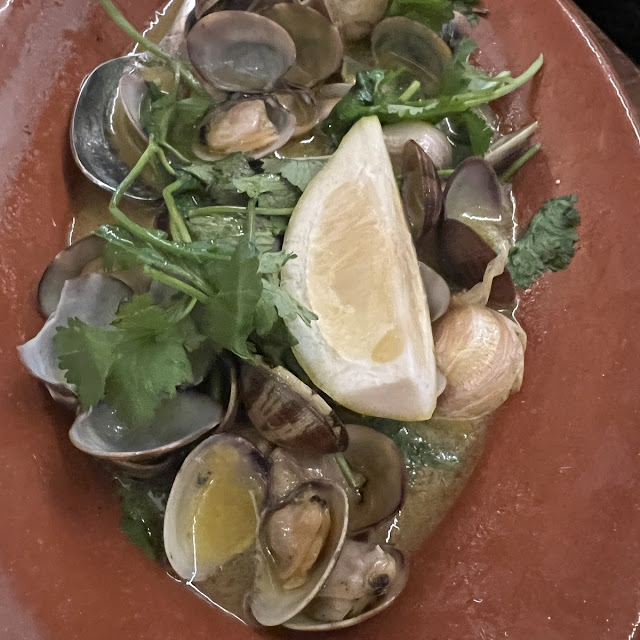 Clams